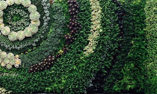 a mural made of plants