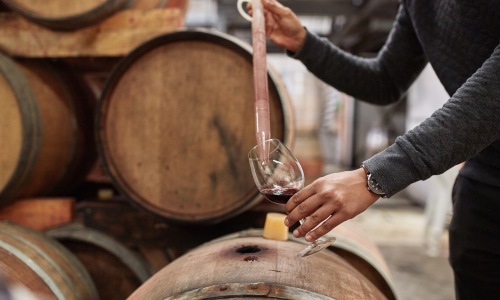 Wine making in Eagle, ID