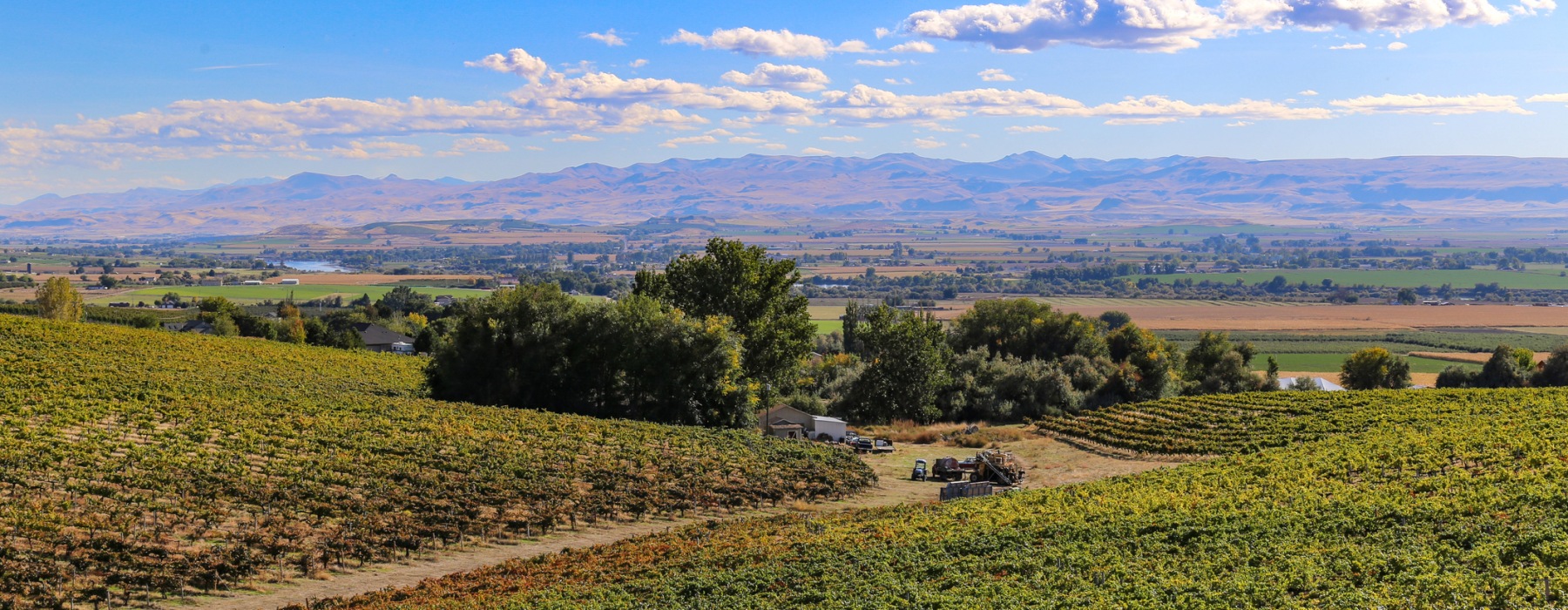 Winery in eagle idaho