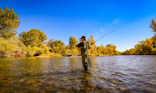 Eagle, ID Fishing Fishing in Eagle, Idaho