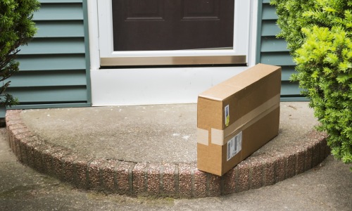 Eagle Library Home Delivery